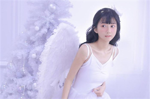 如何利用信息技术促进上海农业发展